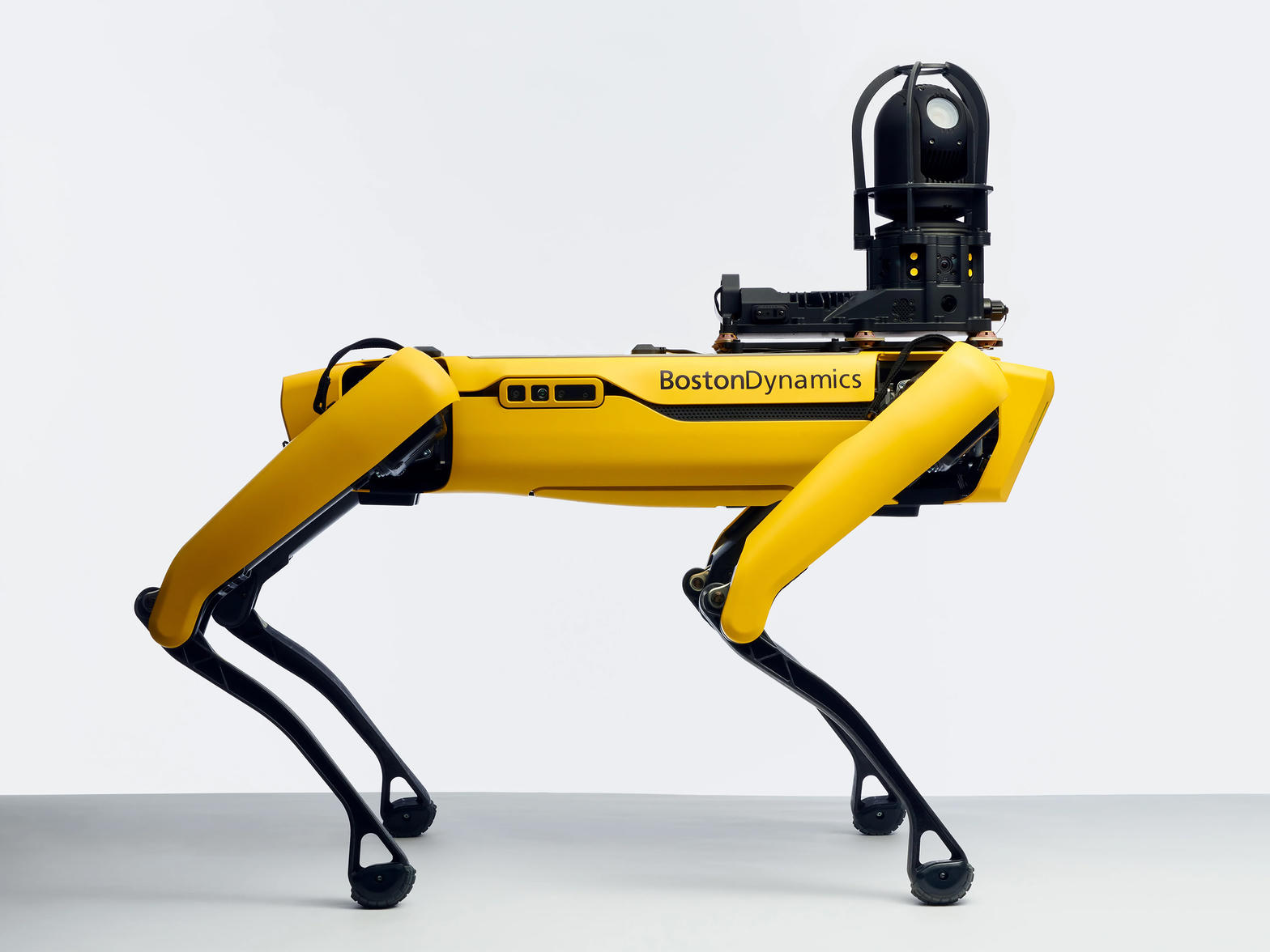 Quadruped robot